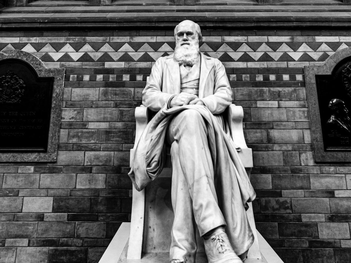 The Humility of Charles&nbsp;Darwin
