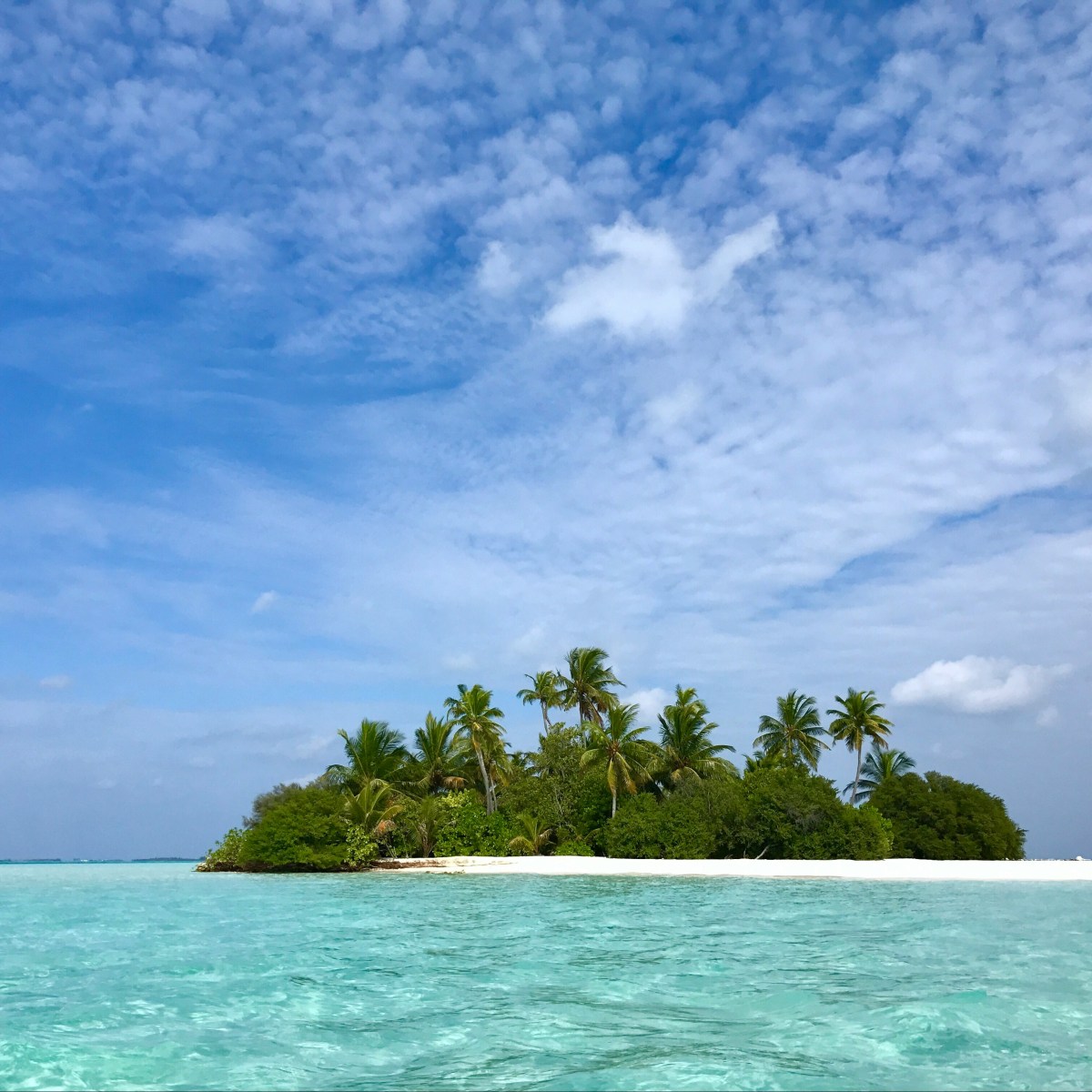 Can Those Who Never Hear About Jesus Be&nbsp;Saved?